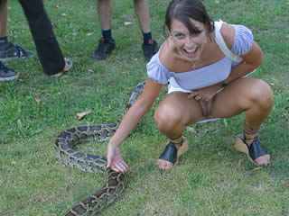 bestiality anal sex orgy with snake