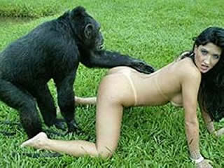 Horny girls with monkey